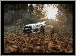 Audi RS5, ABT Sportsline