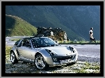 Smart Roadster