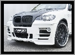 Hamann, X6